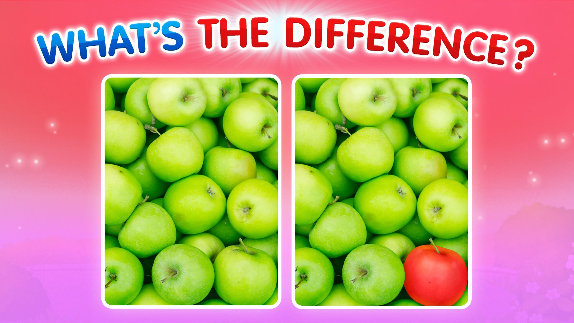 What\’s The Difference?